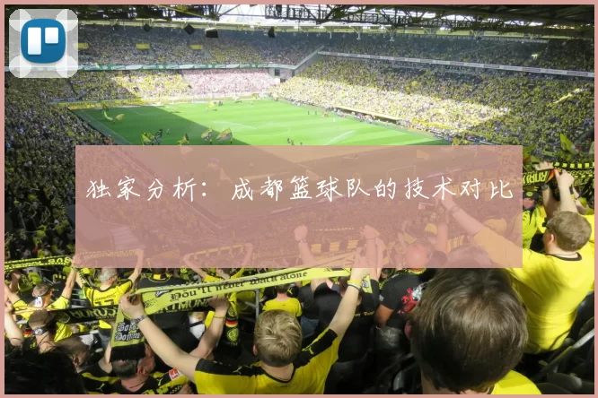 独家分析：成都篮球队的技术对比