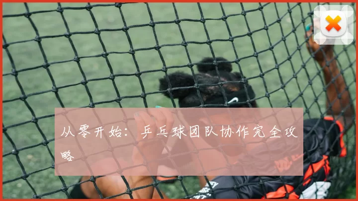 从零开始：乒乓球团队协作完全攻略