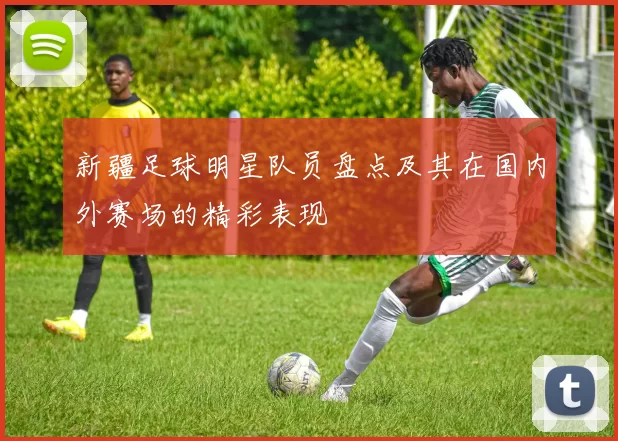 新疆足球明星队员盘点及其在国内外赛场的精彩表现