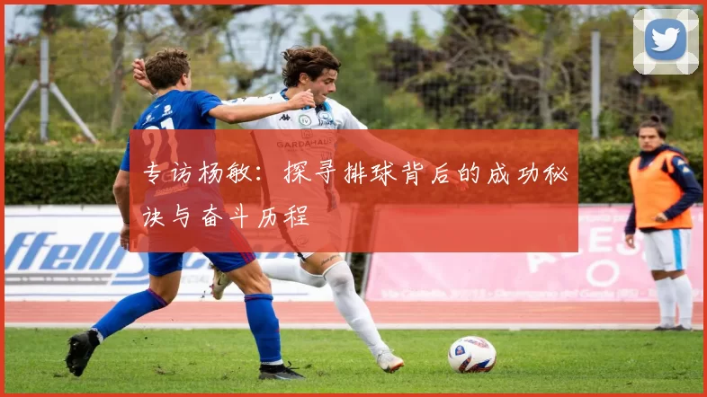 专访杨敏：探寻排球背后的成功秘诀与奋斗历程